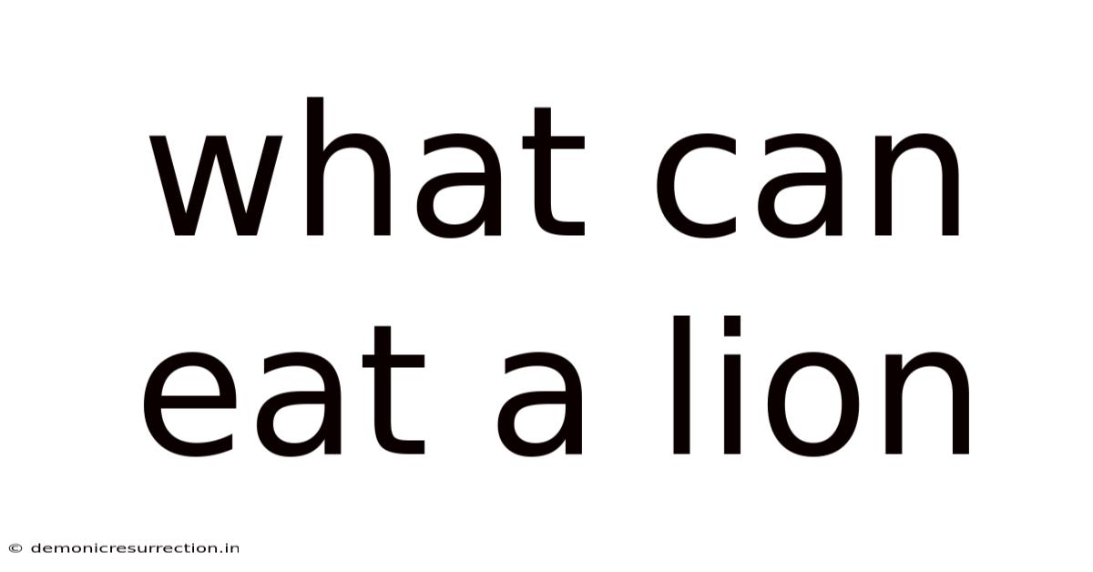 What Can Eat A Lion
