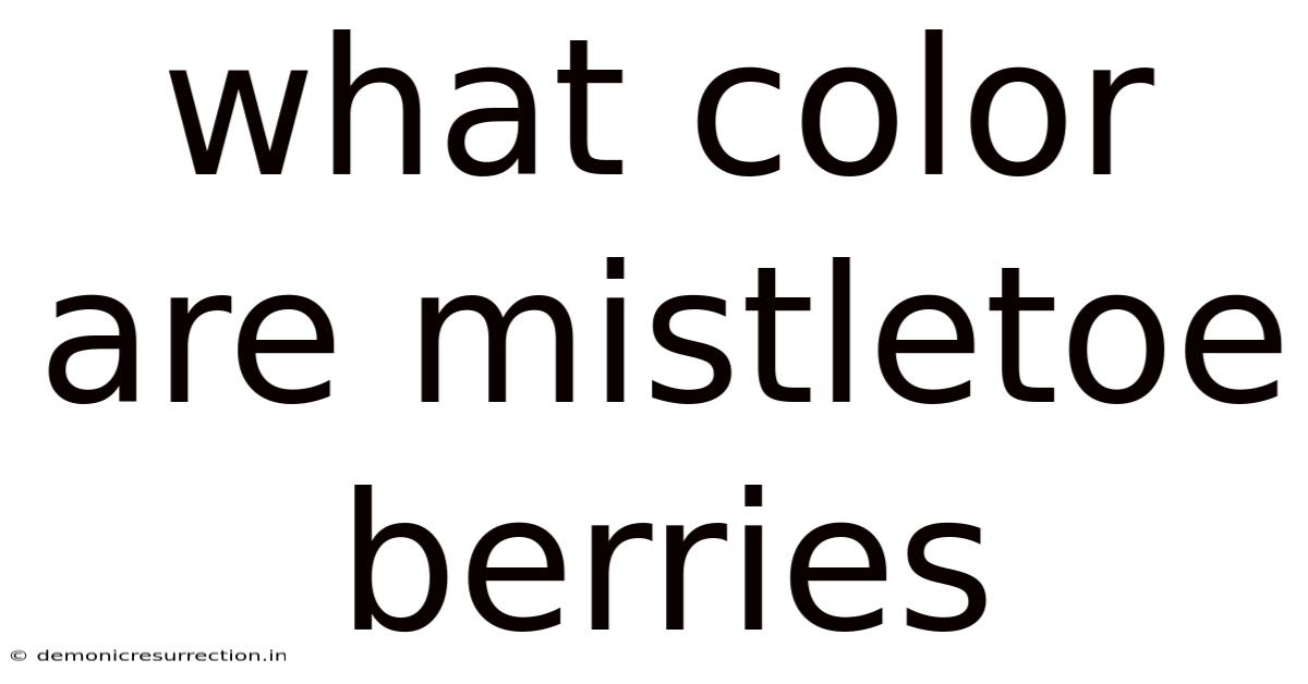 What Color Are Mistletoe Berries