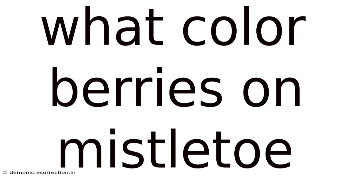 What Color Berries On Mistletoe