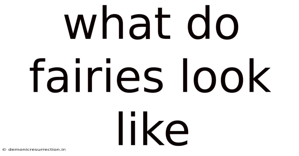 What Do Fairies Look Like
