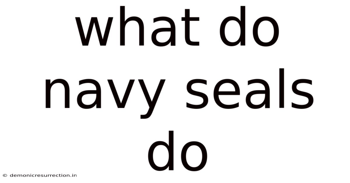 What Do Navy Seals Do