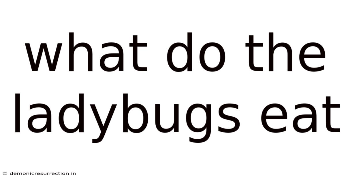 What Do The Ladybugs Eat