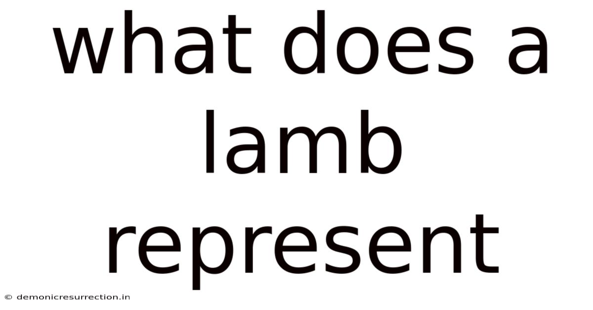 What Does A Lamb Represent