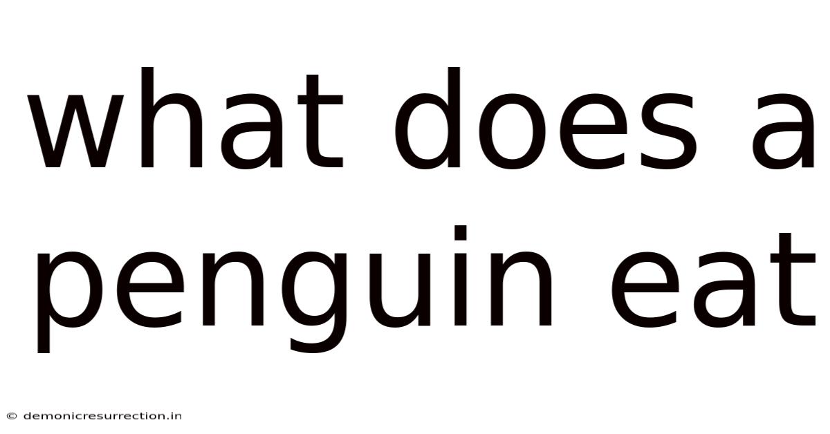 What Does A Penguin Eat