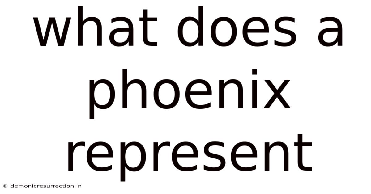 What Does A Phoenix Represent