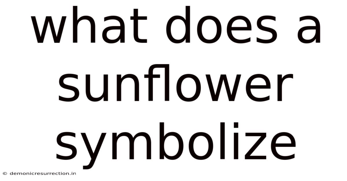 What Does A Sunflower Symbolize