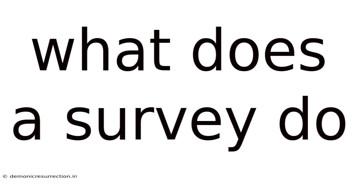 What Does A Survey Do