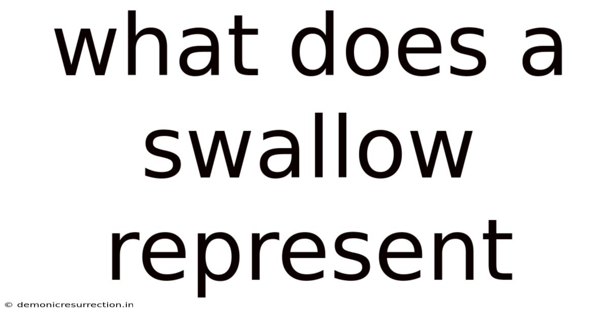 What Does A Swallow Represent