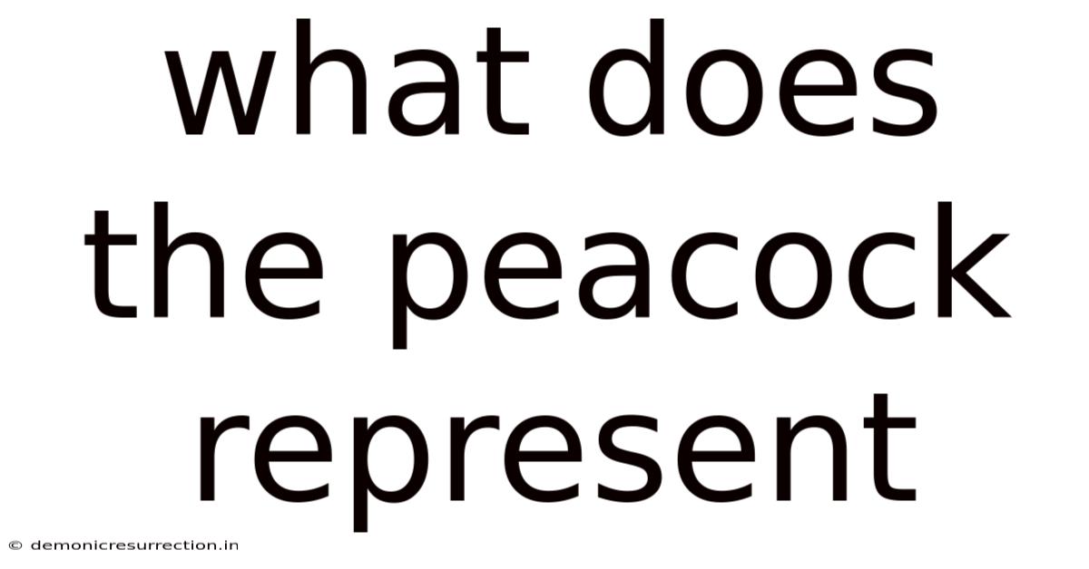 What Does The Peacock Represent
