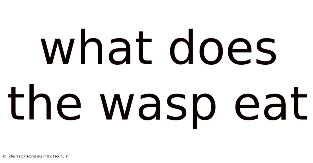 What Does The Wasp Eat