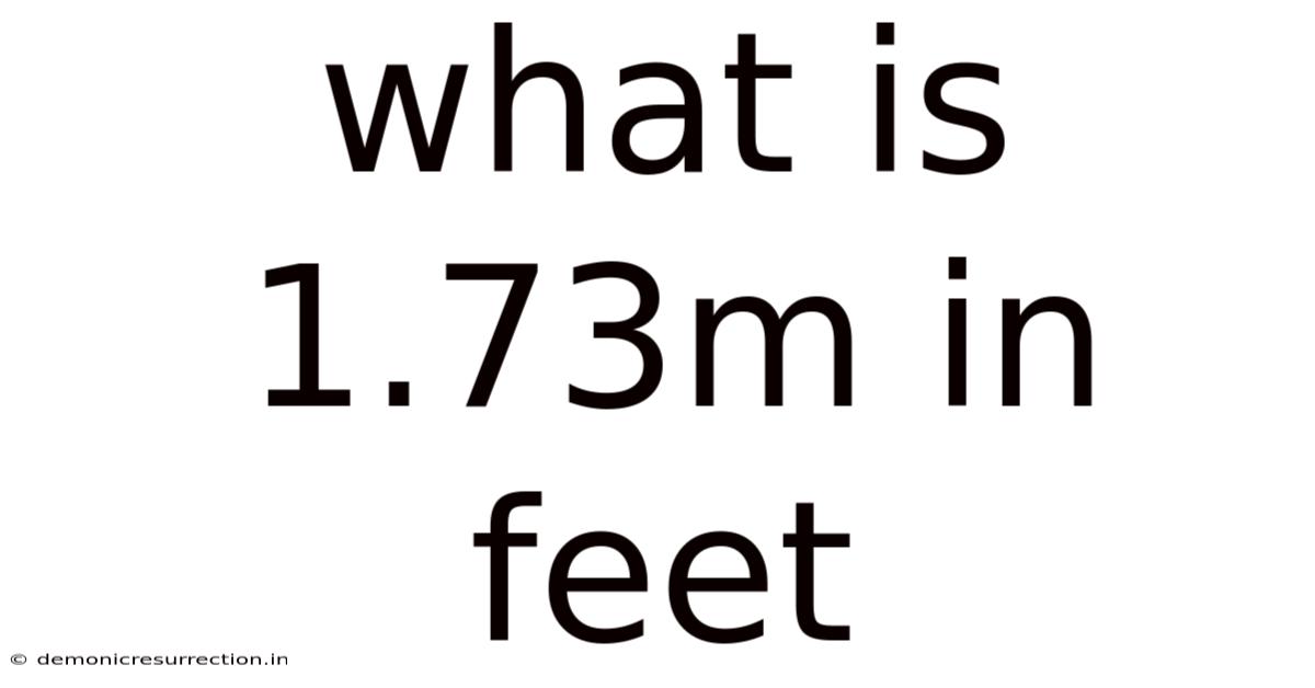 What Is 1.73m In Feet