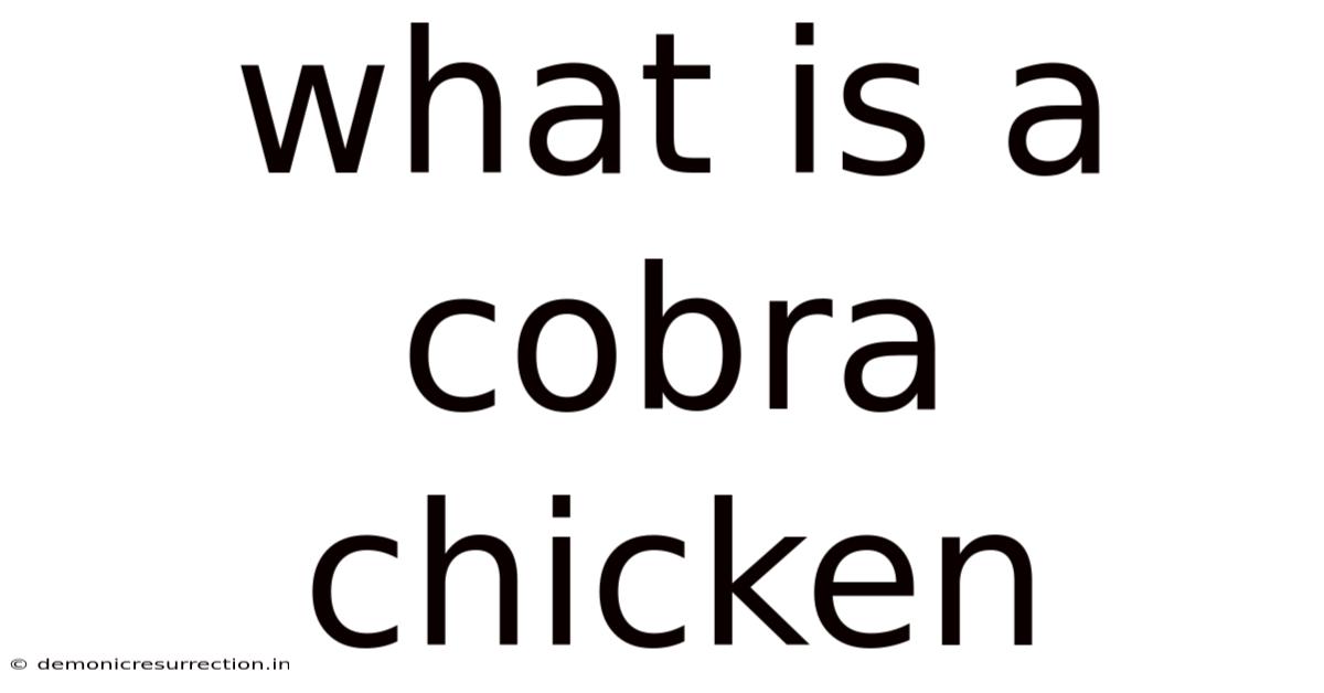 What Is A Cobra Chicken
