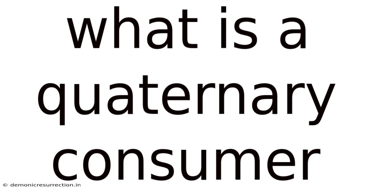 What Is A Quaternary Consumer