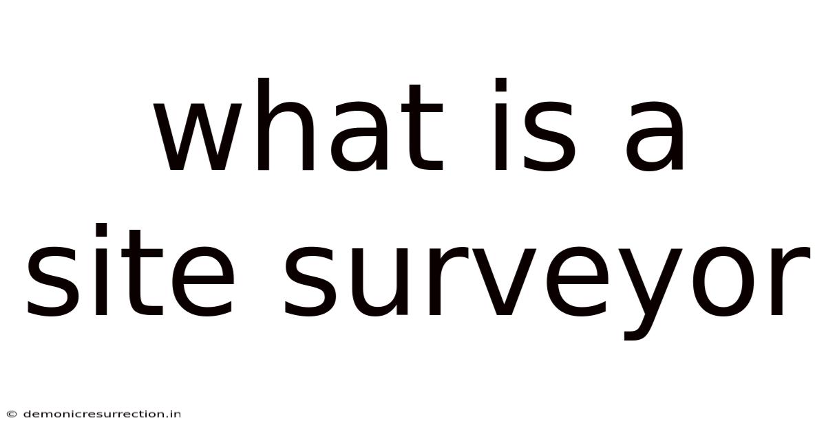 What Is A Site Surveyor