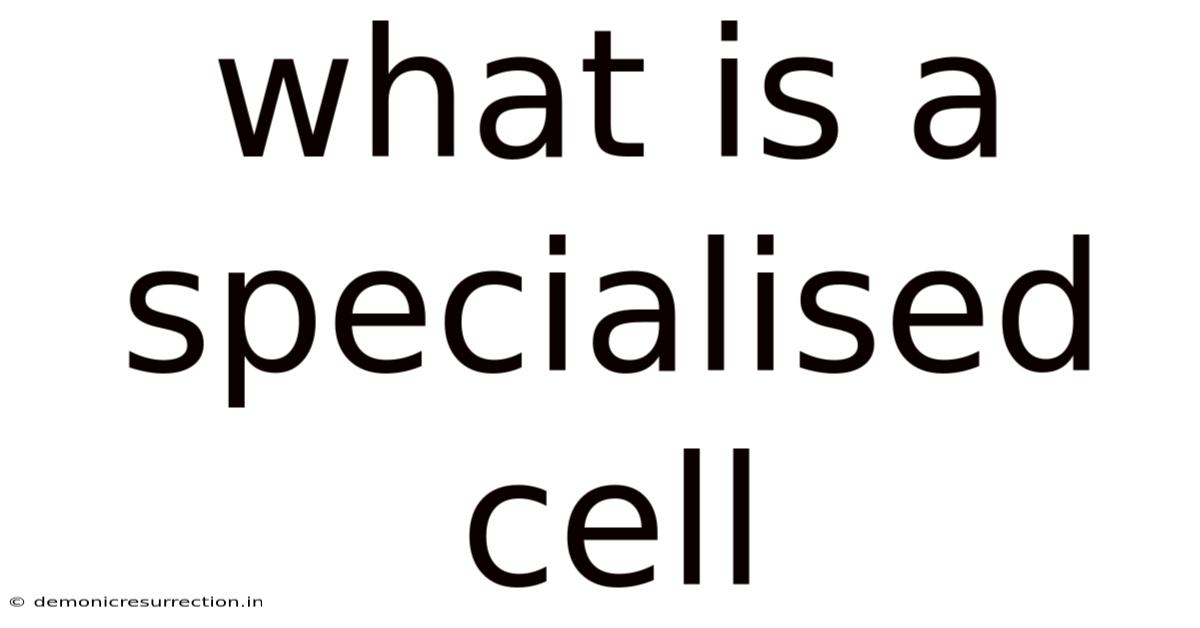 What Is A Specialised Cell