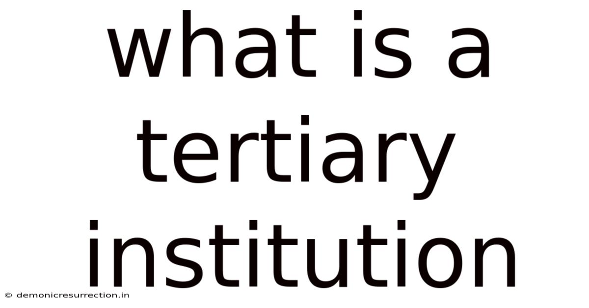 What Is A Tertiary Institution
