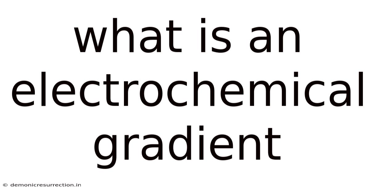 What Is An Electrochemical Gradient