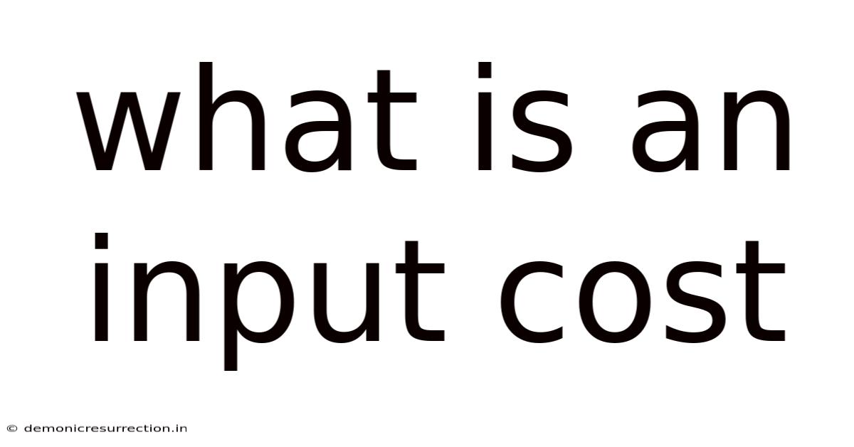 What Is An Input Cost