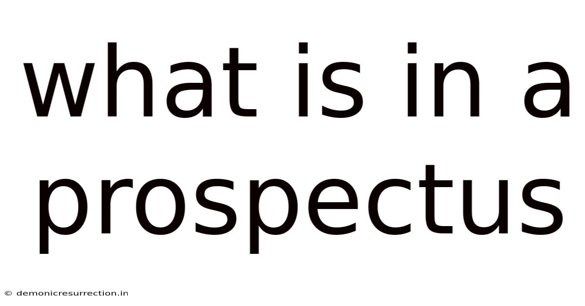 What Is In A Prospectus