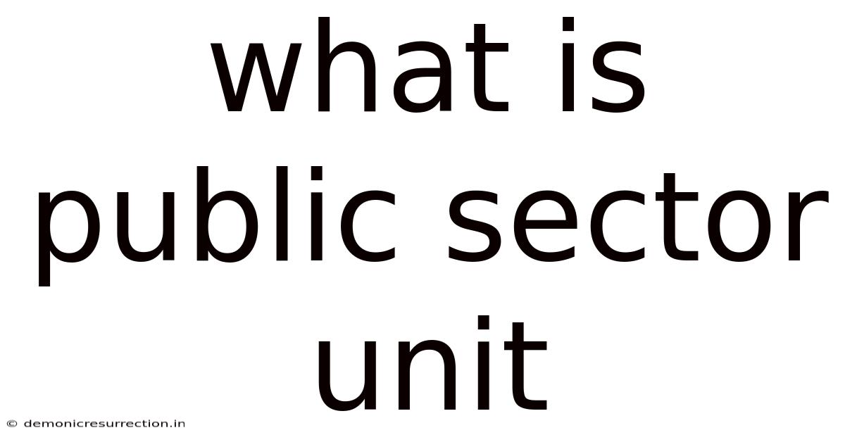 What Is Public Sector Unit
