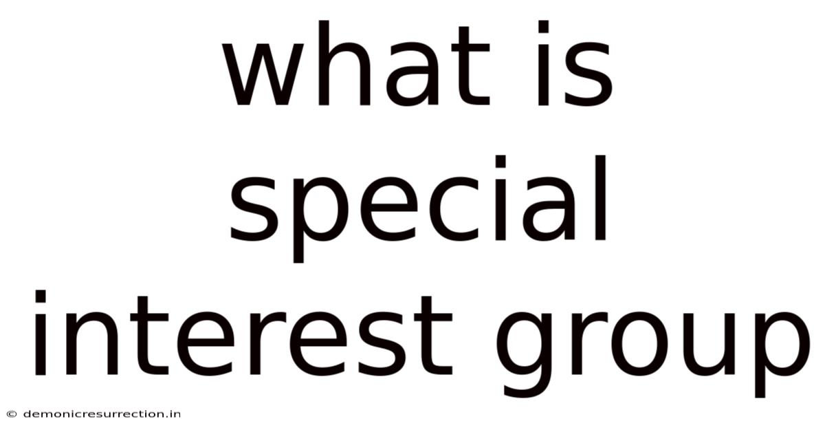 What Is Special Interest Group