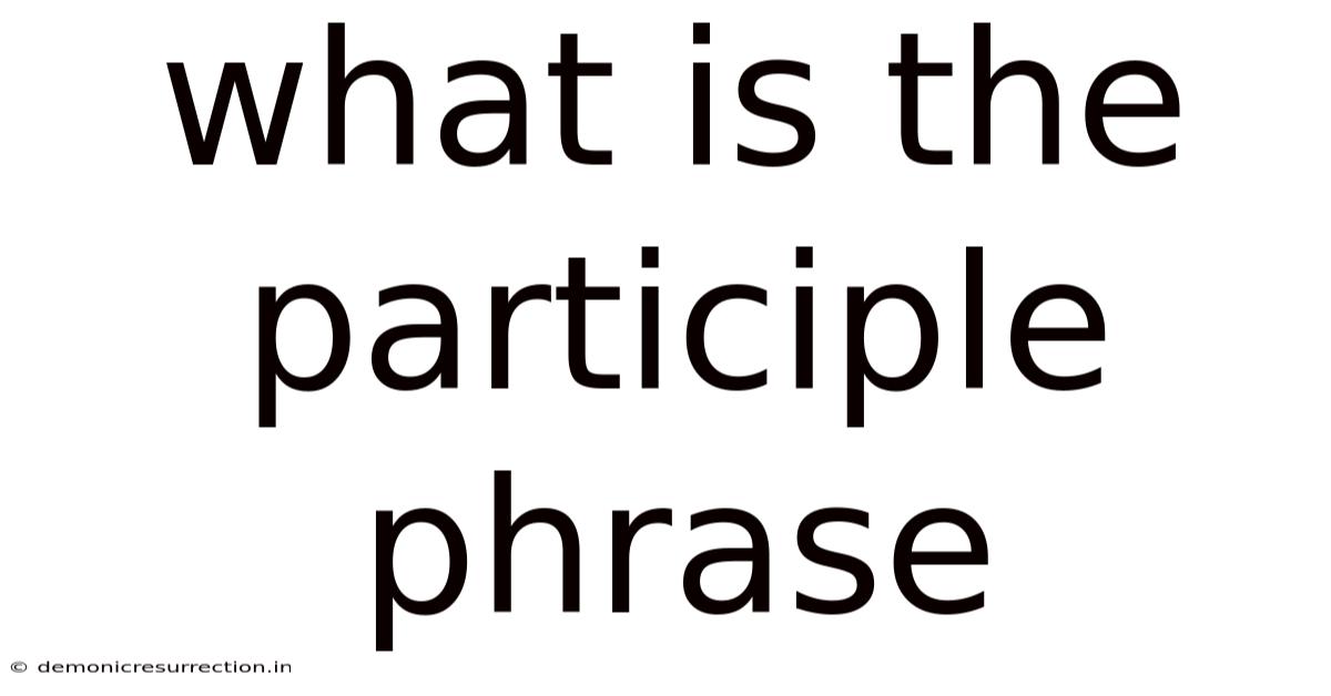 What Is The Participle Phrase