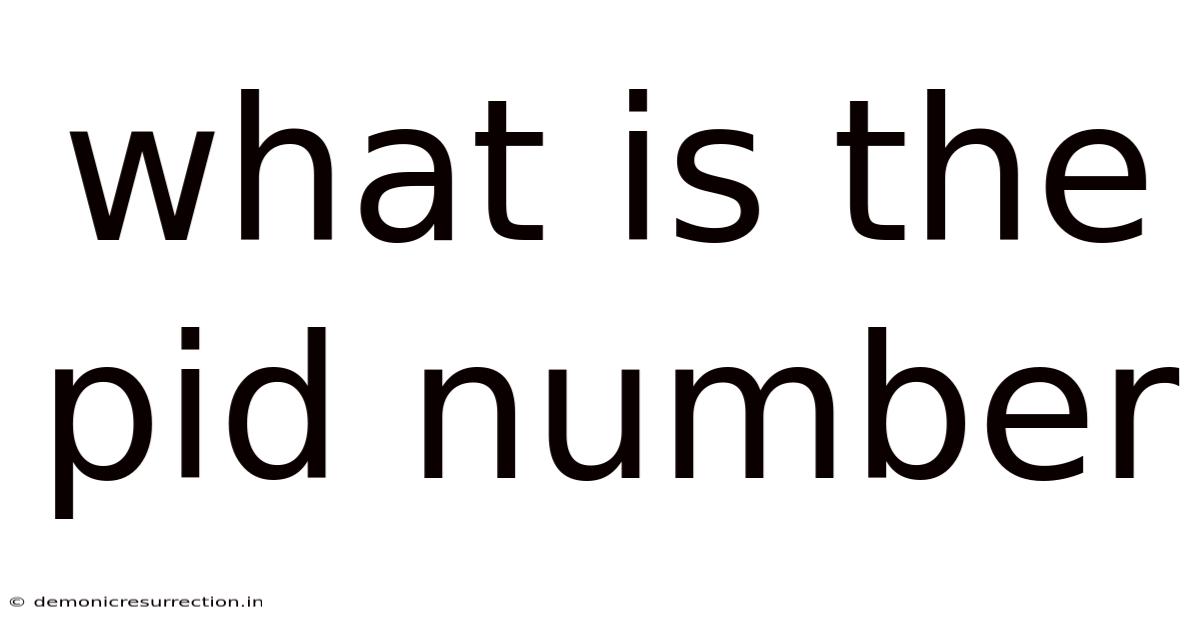 What Is The Pid Number