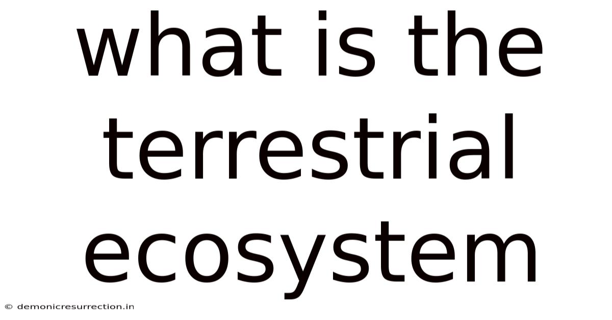 What Is The Terrestrial Ecosystem