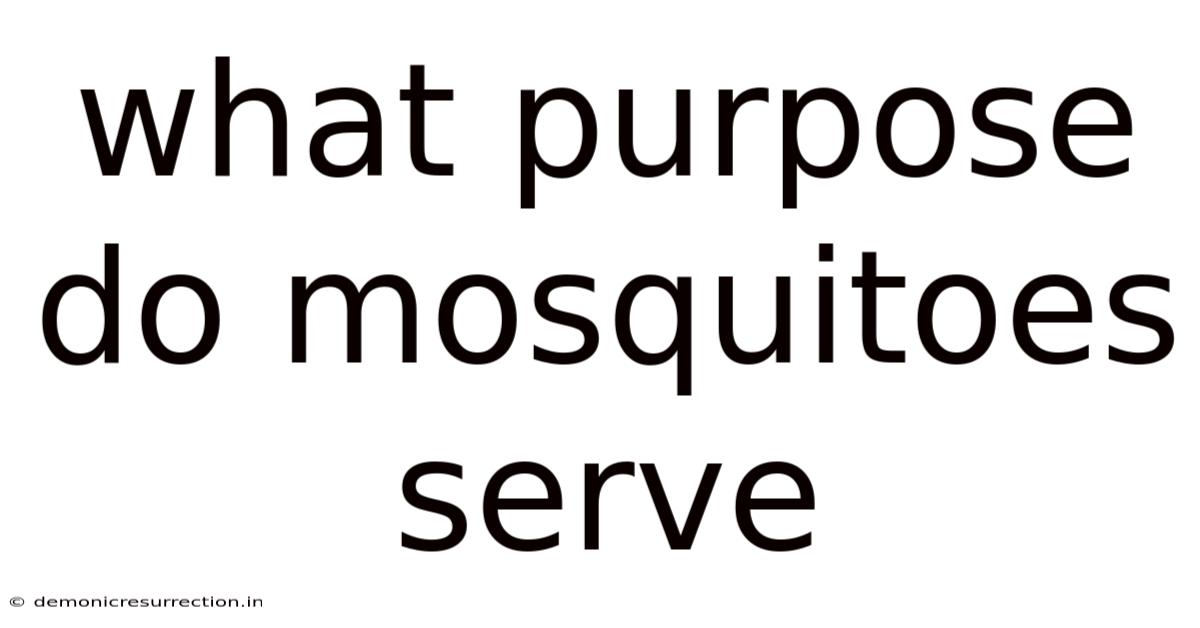 What Purpose Do Mosquitoes Serve