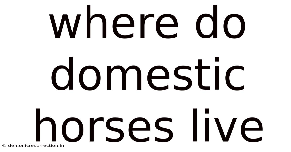 Where Do Domestic Horses Live