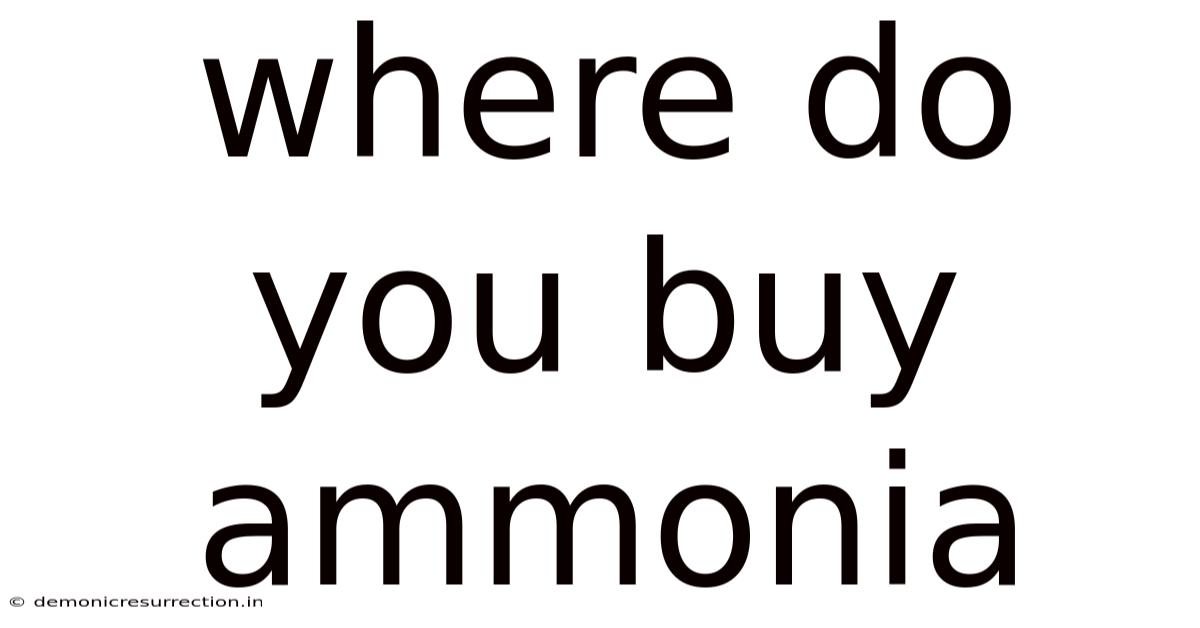 Where Do You Buy Ammonia