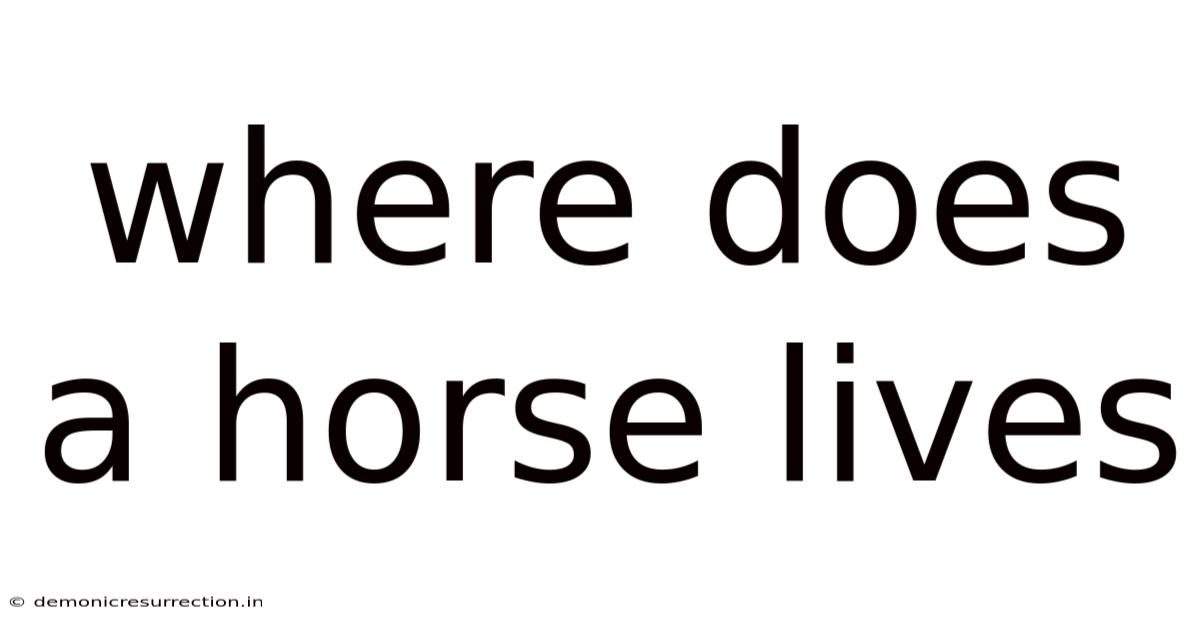 Where Does A Horse Lives