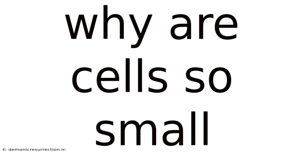 Why Are Cells So Small