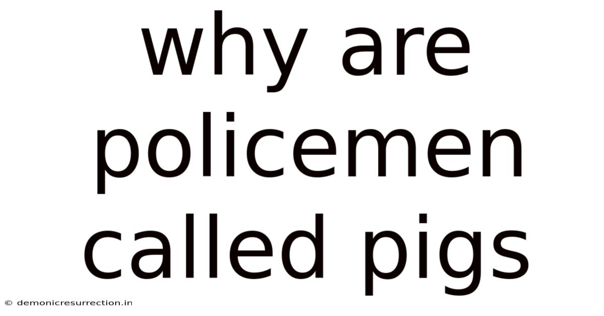 Why Are Policemen Called Pigs