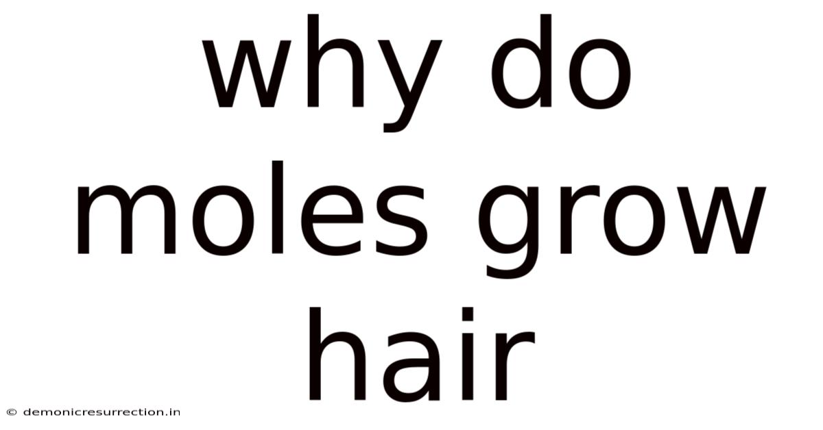 Why Do Moles Grow Hair