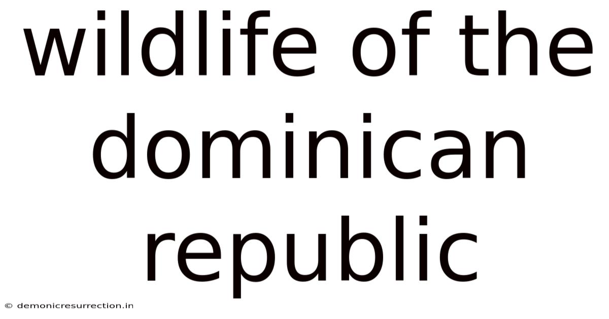 Wildlife Of The Dominican Republic