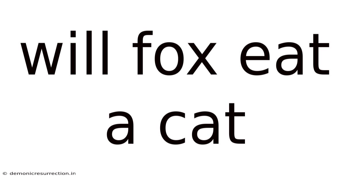 Will Fox Eat A Cat