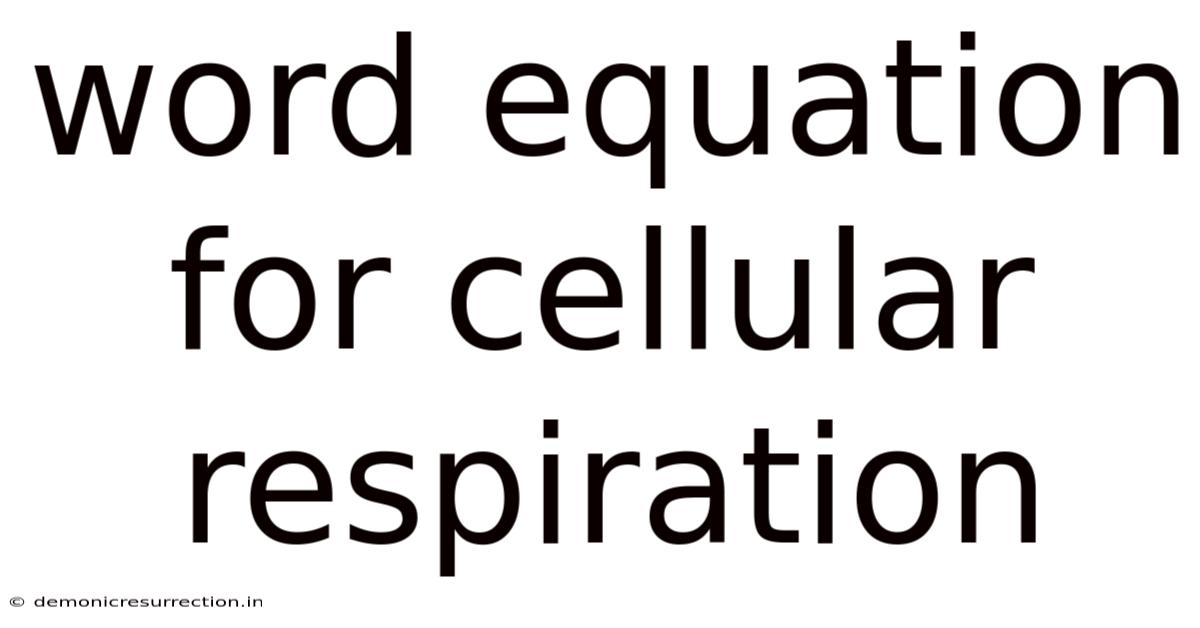 Word Equation For Cellular Respiration