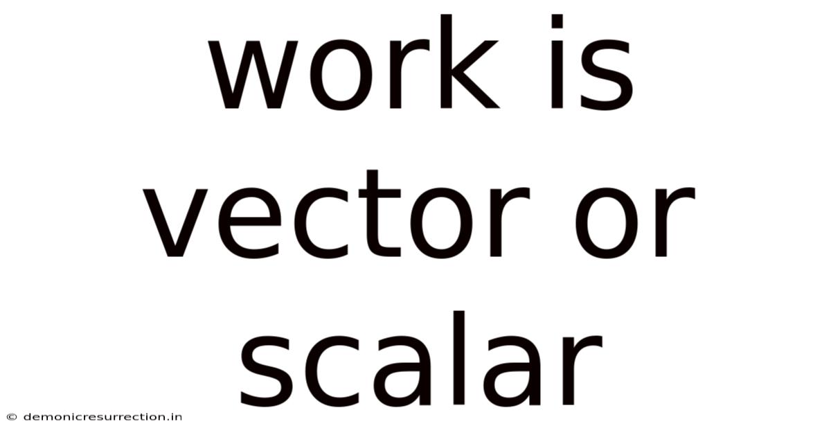 Work Is Vector Or Scalar